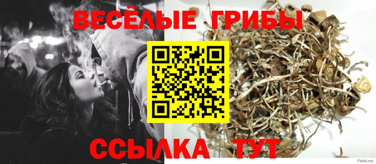 Галлюциногенные грибы Cubensis  Галлюциногенные грибы Psilocybine cubensis  Вход с VPN  Муром 